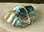 Zuni Hand-carved Directional Fetishes